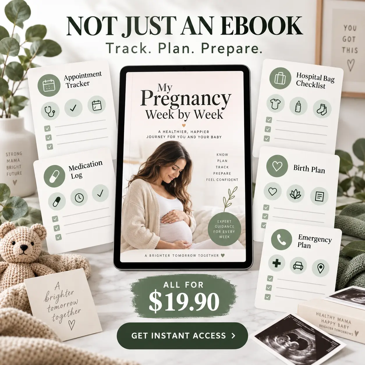 Pregnancy guide with appointment, medication, birth, hospital bag, and emergency planning tools